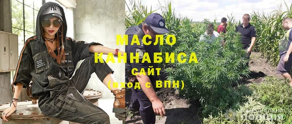 ГАЛЛЮЦИНОГЕННЫЕ ГРИБЫ Лагань