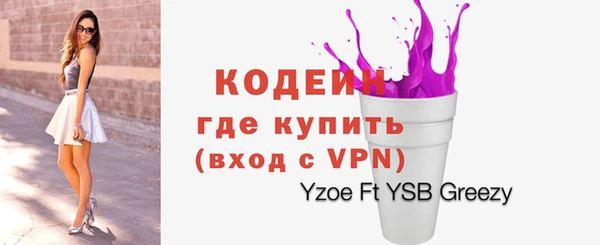 ГАЛЛЮЦИНОГЕННЫЕ ГРИБЫ Лагань