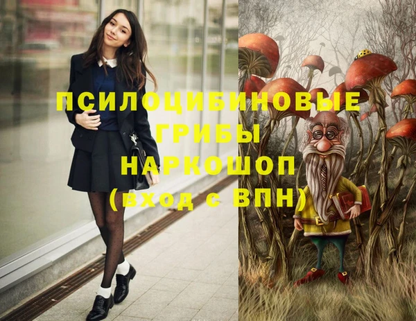 ГАЛЛЮЦИНОГЕННЫЕ ГРИБЫ Лагань