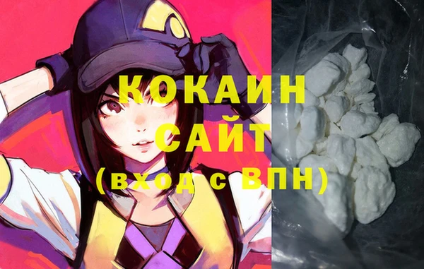 ГАЛЛЮЦИНОГЕННЫЕ ГРИБЫ Лагань