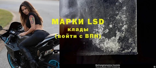 ГАЛЛЮЦИНОГЕННЫЕ ГРИБЫ Лагань