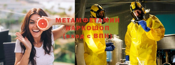 ГАЛЛЮЦИНОГЕННЫЕ ГРИБЫ Лагань