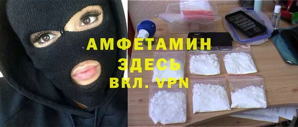 ГАЛЛЮЦИНОГЕННЫЕ ГРИБЫ Лагань