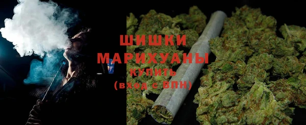 ГАЛЛЮЦИНОГЕННЫЕ ГРИБЫ Лагань
